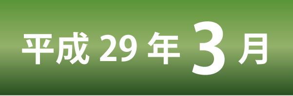 平成29年2月